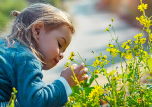 How an Experienced Bergen County Family Law Attorney Can Help with Child Support